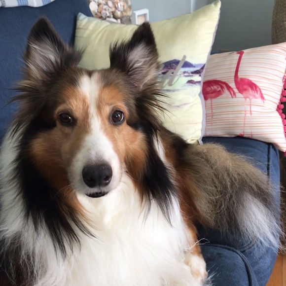 Meet your Posher, Kim - Picture 9 of 14